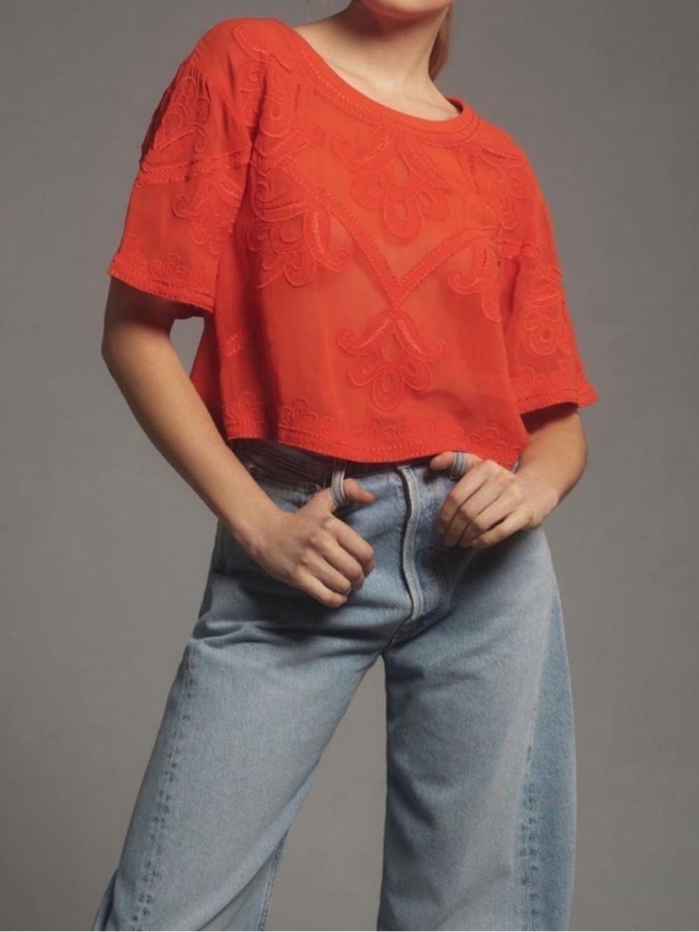 By Anthropologie Sheer Embroidered Boxy Top Size Small - Picture 2 of 9